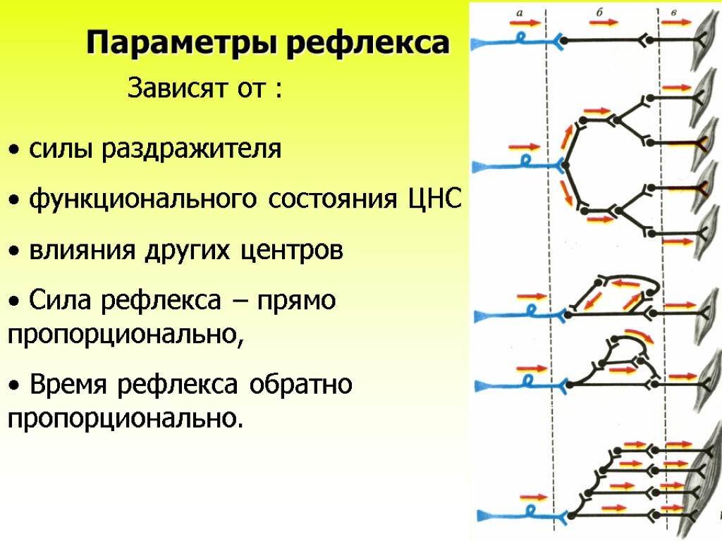 Параметры состояния p v t